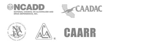 Affiliate Partners