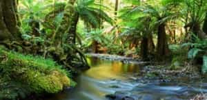 A Unique Setting Facilitates Lasting Change